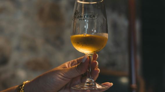 Fonseca Cellar & The Wine Experience: Tour + Tasting