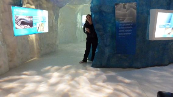 Greymouth: Glacier, Heritage & Wildlife Centre Guided Tour