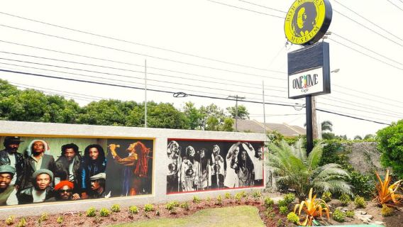 Bob Marley Museum Tour from Runaway Bay