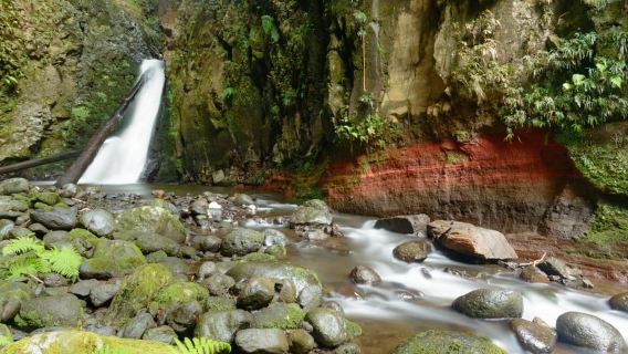 Sao Miguel: Salto do Cabrito Guided Canyoning Experience