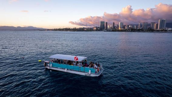 Oahu: Paseo en barco para avistar ballenas en Waikiki
