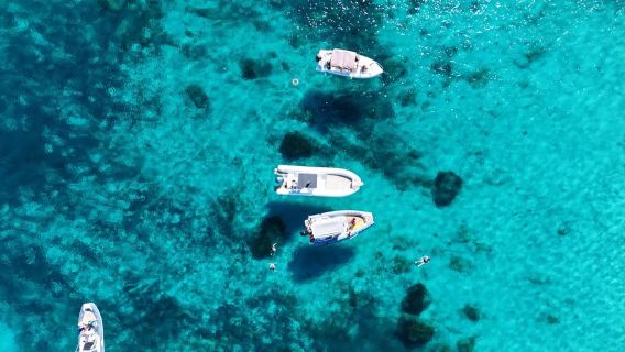 Đảo Favignana và Levanzo: Bơi lội, Lặn biển và Ăn trưa