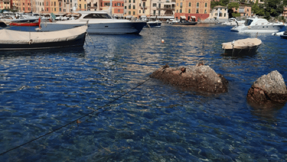 從熱那亞出發：搭乘敞篷巴士往返波托菲諾