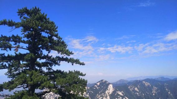 陝西渭南華山一日遊【二環內接，資深導遊導覽，玩轉華山】