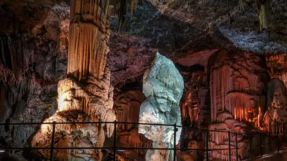 Da Lubiana: Lago di Bled e Grotte di Postumia con biglietti d'ingresso