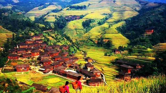 Những điểm đến không thể bỏ qua ở Quế Lâm: Tour tham quan ruộng bậc thang Long Tích trong ngày bằng xe thương mại (Đã bao gồm vé)