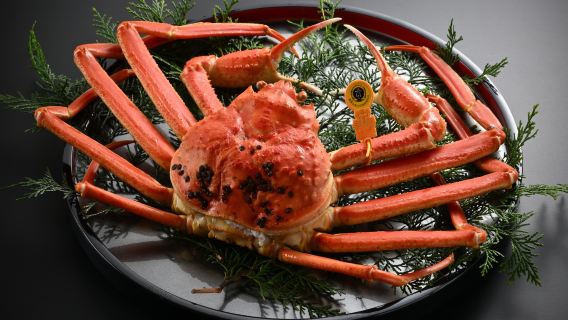 [Echizen Crab · Japanese Private Dining Room Ryugetsutei] [Reservation Only] Echizen Crab Package - Choose One of Three Dining Vouchers