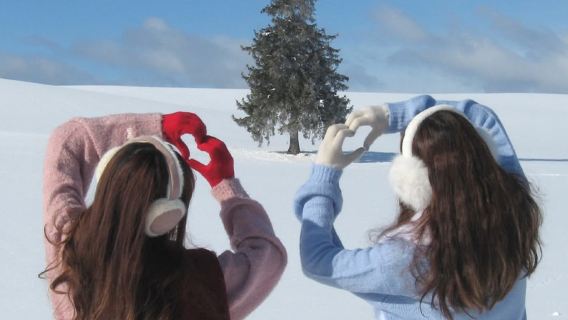 9人團-日本北海道富良野一日遊丨旭山動物園+美瑛聖誕樹