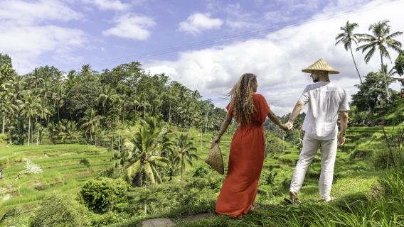 Ubud Waterfalls, Water Temple & Rice Terraces Private Tour