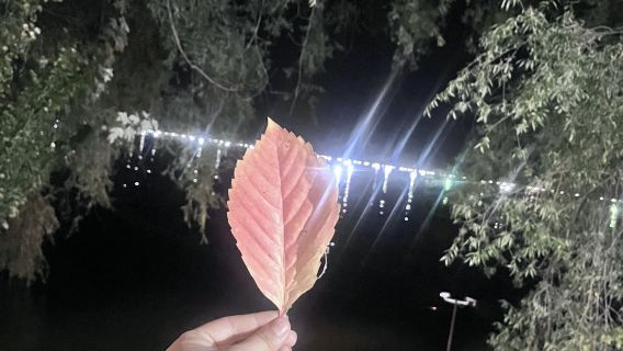 【一家一團】觀小洱海·魏家坡＋賞漁燈