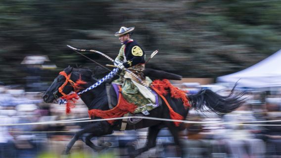 Samurai Culture Experience in Tokyo (Includes Swordsmanship and Archery)