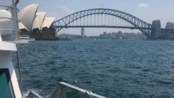 Sydney: Morning/Afternoon Sightseeing Cruise