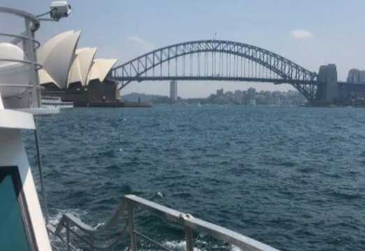 Sydney: Morning/Afternoon Sightseeing Cruise AUD 54.95