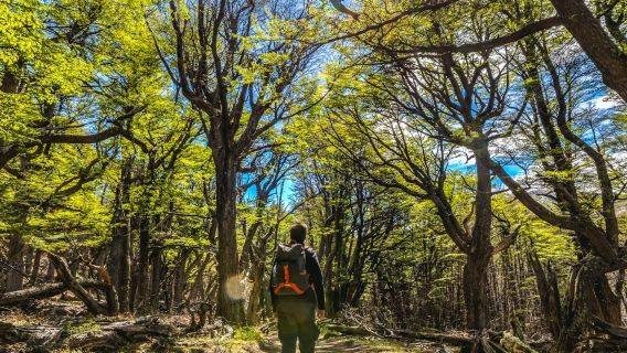 El Chaltén: Tour tham quan trọn ngày có hướng dẫn viên + Xe đưa đón khứ hồi + Bữa trưa