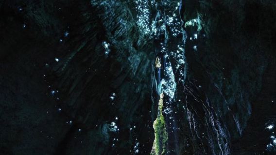 Gold Coast | Dreamy Blue Glowworm Cave Night Tour