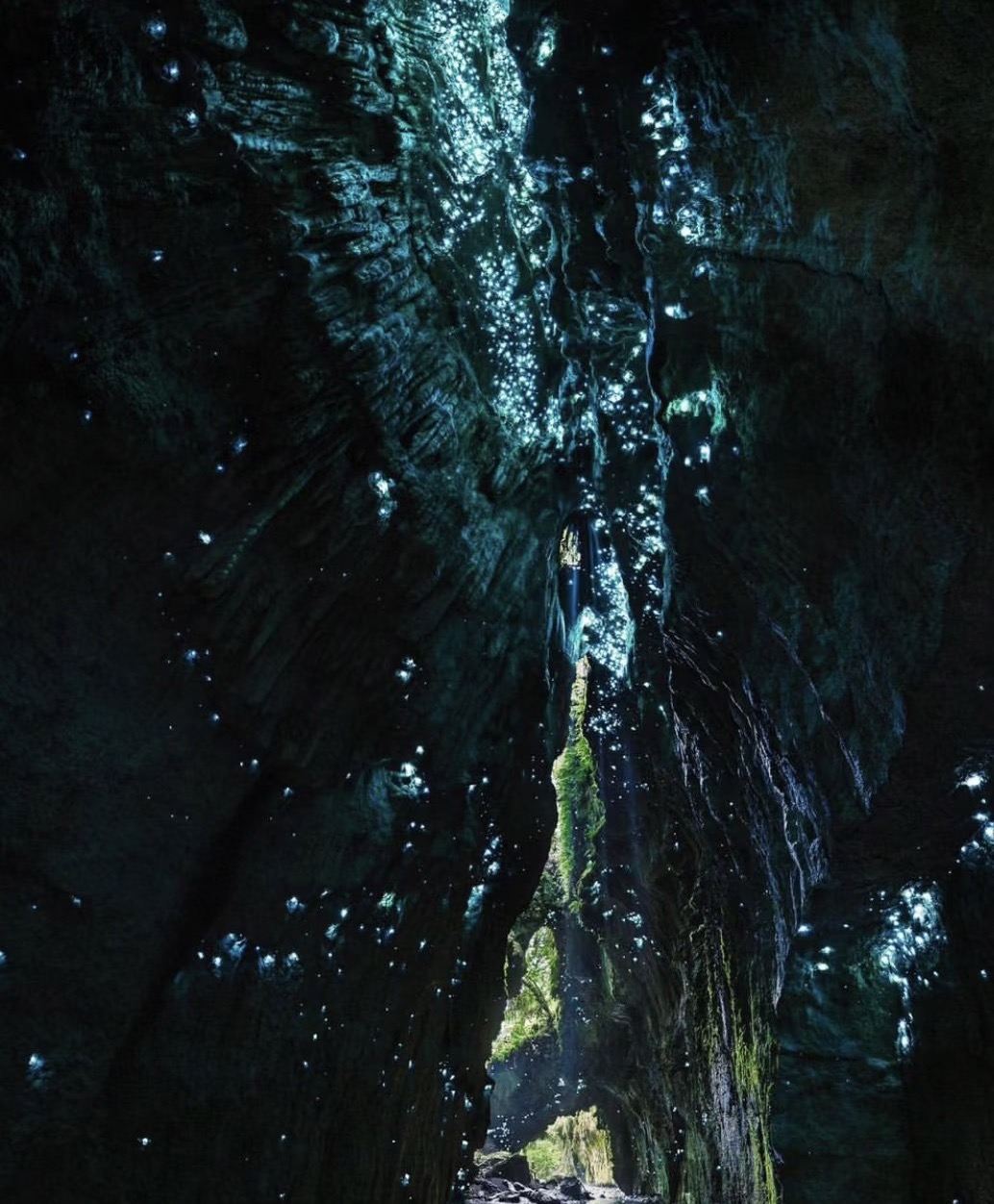 Gold Coast | Dreamy Blue Glowworm Cave Night Tour