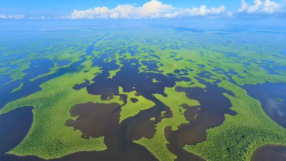 ทัวร์ครึ่งวันไมอามี + สวนสาธารณะแห่งชาติเอเวอร์เกลดส์ - ผจญภัยเรือกลไฟ - พบกับจระเข้แบบใกล้ชิด