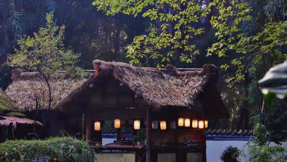 Chengdu One-Day Cultural Tour: Sichuan Science and Technology Museum, Wenshu Monastery, Sichuan Museum, and Chengdu Du Fu Thatched Cottage Museum