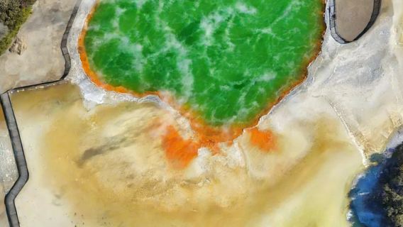 羅托魯瓦出發|火山之心·地熱與毛利秘境之旅