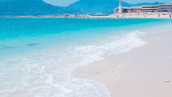 『限時特賣』廈門--漳州火山島+鎮海角--廈門