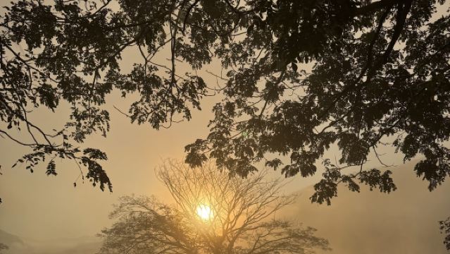 Lawatan Sehari dengan Pemandu Berbahasa Cina ke Pokok Air Chiang Mai, Kem Gajah Na Cai dan Air Terjun Sticky