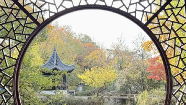 Servizio di guida a Taicang|Scelta tra l'Antica Città di Shaxi, il Giardino Nanyuan, il Giardino Yanshan, l'Antica Città di Liuhe, la Residenza di Zhang Pu, la Residenza di Wang Xijue, il Tempio di Tianfei, il Parco Zhenghe, il Villaggio Antico di Sanjiashi e altri