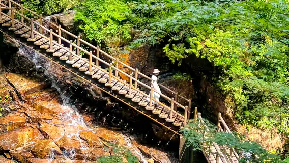 Excursión de un día en servicio de coche privado con conductor por la ruta Shoryudo desde Nagoya: Magome-juku + Tsumago-juku + exploración del secreto cascada del Dios Dragón