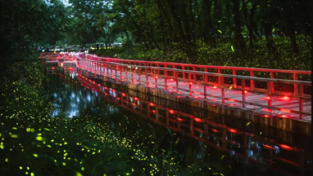 美國亞特蘭大-大煙山國家公園-一日遊【中文包車自由行】