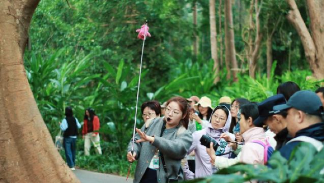 Taman Botani Akademi Sains China Penerangan Berpandu oleh Pemandu Pelancong Emas [Penerangan Berpandu Zon Barat 2.5 Jam + Pelbagai Sesi Pilihan]