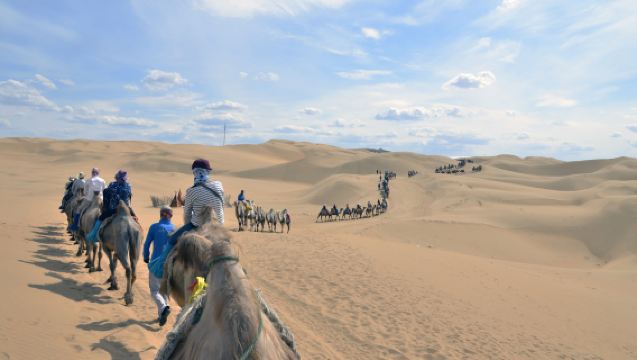Baotou, Inner Mongolia: 1-Day Private Charter Tour to Top Attractions | Customizable Itinerary