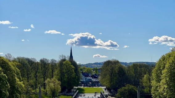 Lawatan sehari sewaan peribadi di Oslo: Tiga serangan hutan/fjord/seni