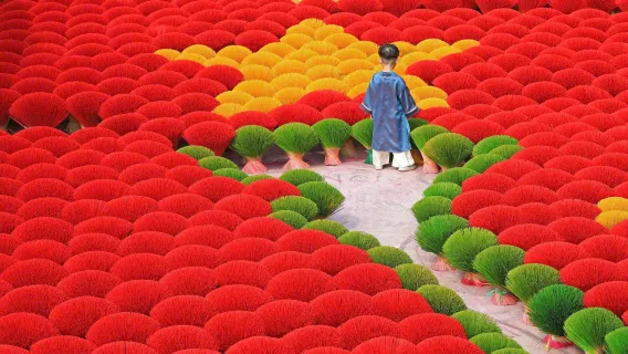 Luxury Hanoi Half-Day Tour: Quang Phu Cau Incense Village and Chuong Conical Hat 