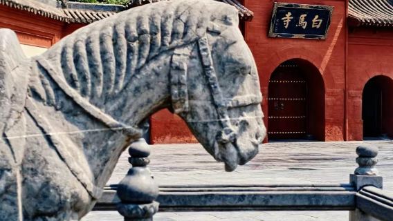White Horse Temple + Longmen Grottoes + Luoyi Ancient City | Check in at the two major cultural landmarks of the divine capital