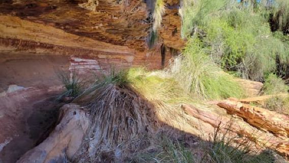 Explore the Hidden Gorges: Kalbarri N.P, 4WD, Hike, Canoe