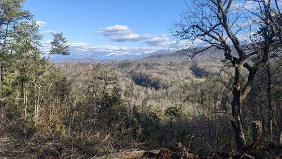 Pigeon Forge: Guided Smoky Mountains Off-Road ATV Adventure