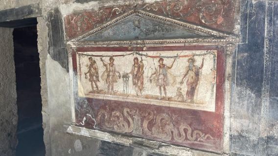 From Naples: Pompeii Guided Tour with Skip-the-Line Tickets