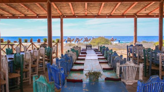 Cabo: Todo Santos Tour with Camel Ranch, Tequila and Lunch