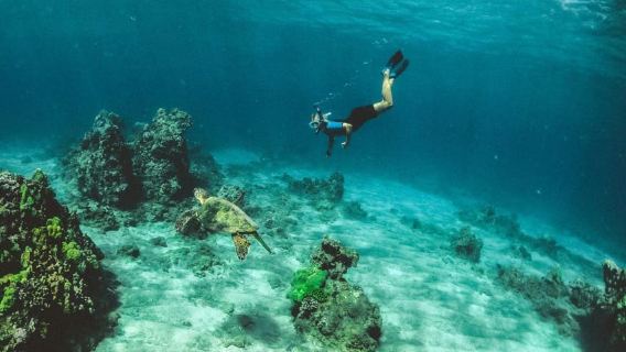 Tarrafal: Snorkeling Trip Along the Coastline