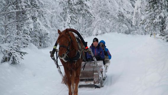 Levi: One Horse Open Sleigh Ride