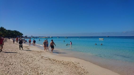 Daniel Johnson Sloths + Beach & Island Tour