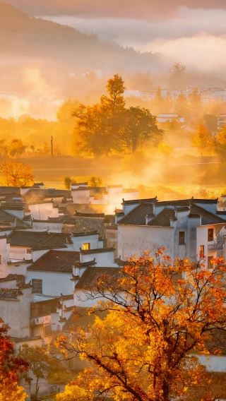 【秋の紅葉狩り-黄山発専用車ツアー】呈坎＋塔川紅葉＋木坑竹海