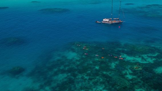 CairnsTours