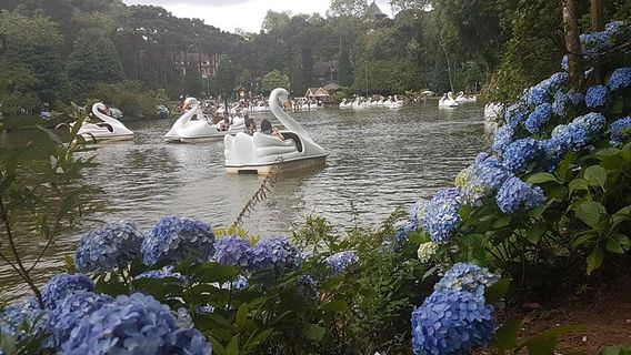 Porto Alegre