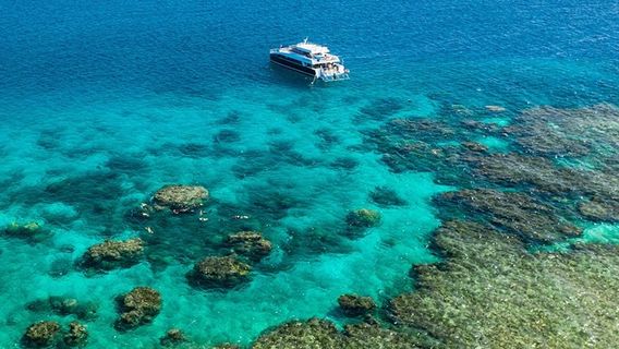 Port DouglasTours
