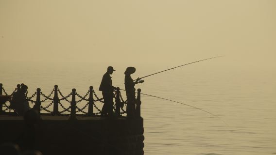 小石島釣魚趕海公園半日遊【海上觀光+海釣體驗+可支援團建】