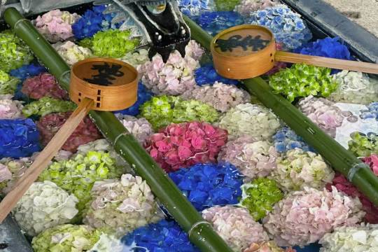 One-day tour to Yangguji Temple + Arashiyama + Kiyomizudera Temple in Japan