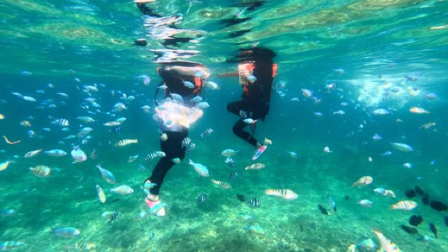 沙巴亞庇真環灘島 浮潛+專業導遊+品質午餐+雙體船