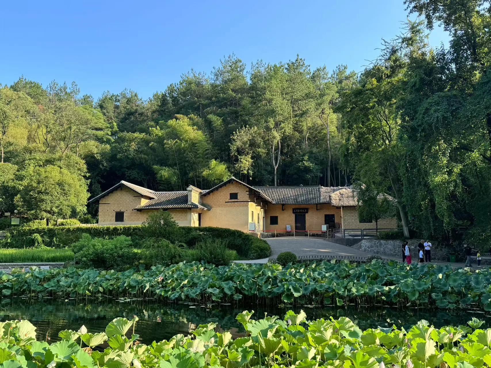 韶山自駕遊通行證辦理+故居門票預約需要提前（有票的情況下）