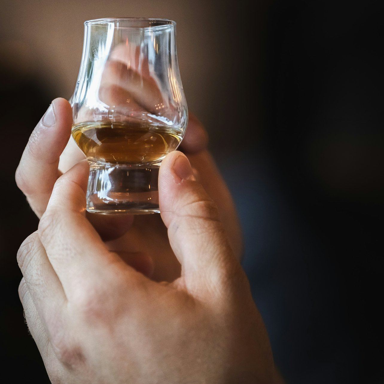 นักสำรวจชายฝั่งโมเรย์ สัตว์ป่า และวิสกี้สเปย์ไซด์ จากอินเวอร์เนส