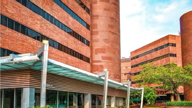 The University of Hong Kong (HKU) + Hong Kong University of Science and Technology (HKUST) + Hong Kong Polytechnic University + The Chinese University of Hong Kong day tour - Private Study Tour